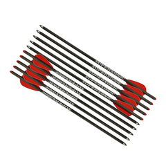 Pijlen pistoolkruisboog