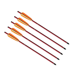 Pijlen recurve/compound kruisbogen.